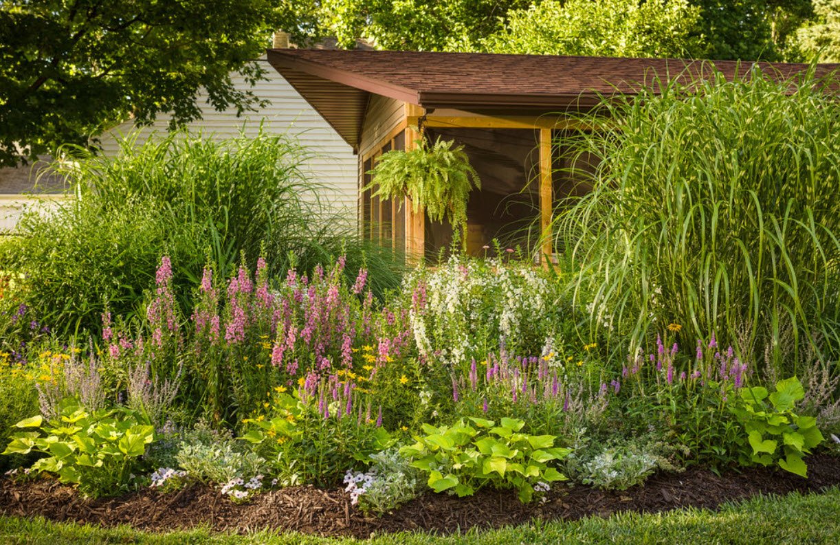 Layered planting creates visual interest along with privacy