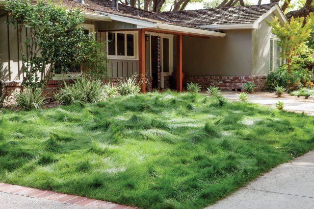 Just look at that luscious yet eco-conscious lawn.