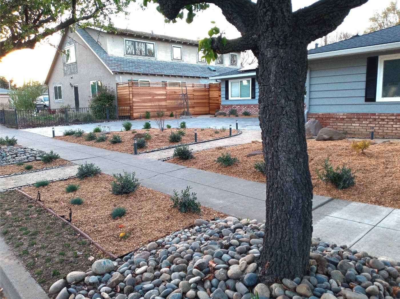 A Yardzen yard with a xeriscape front yard, featuring bark mulch.
