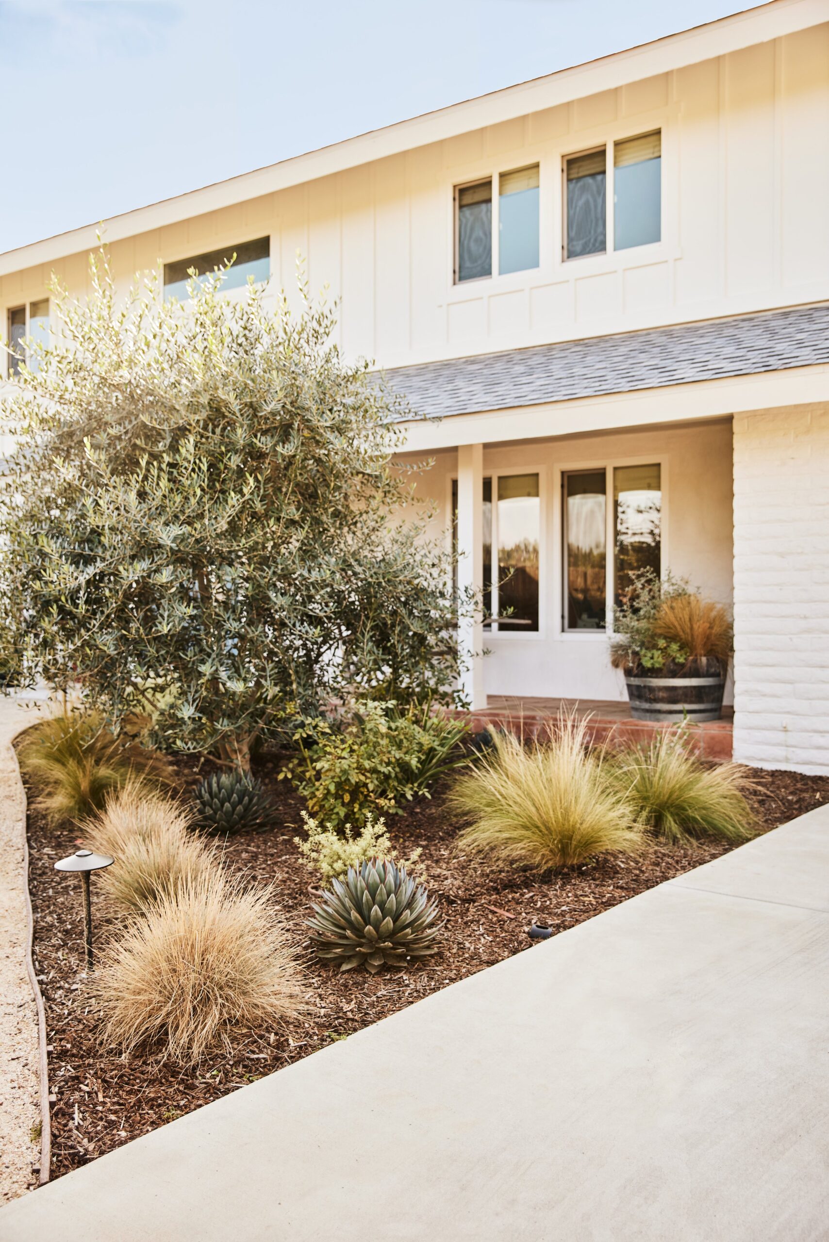 drought tolerant front yard with ornamental grasses instead of lawn